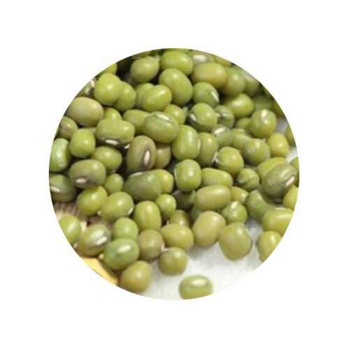Dried Mung Bean 500gm China