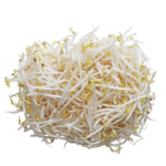 Fresh-Bean-Sprout-500gm-Fresh