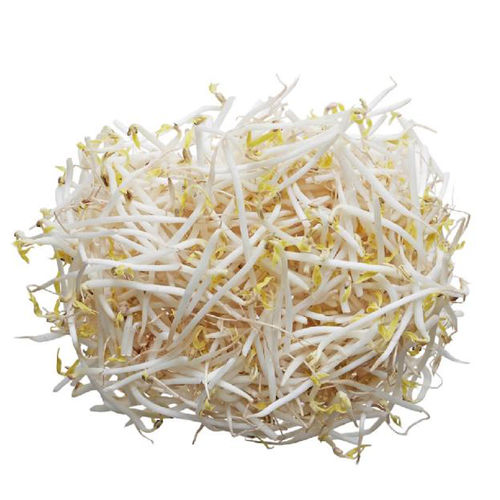 Fresh-Bean-Sprout-500gm-Fresh