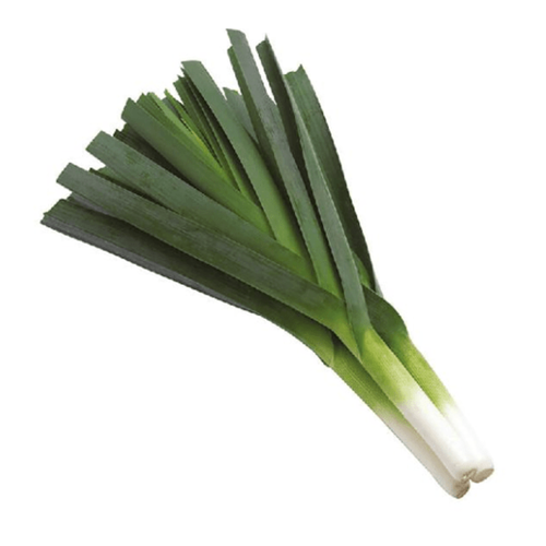 Fresh-Beijing-Onion-1kg-China-Fresh-uae-ae