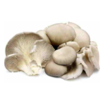 Fresh Oyster Mushroom 200gm China Fresh