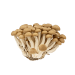 Fresh Shimeji Mushroom Brown 150gm China Fresh