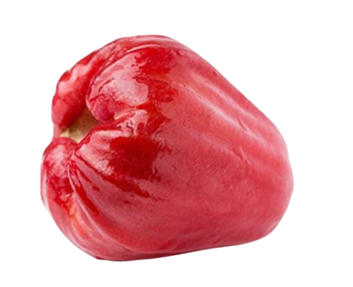 Thailand Rose Apple