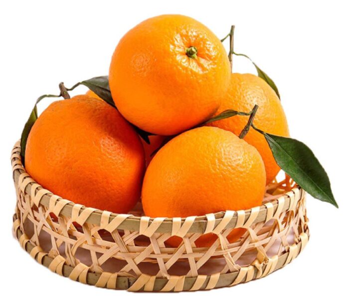 Chinese Newhall Navel Oranges