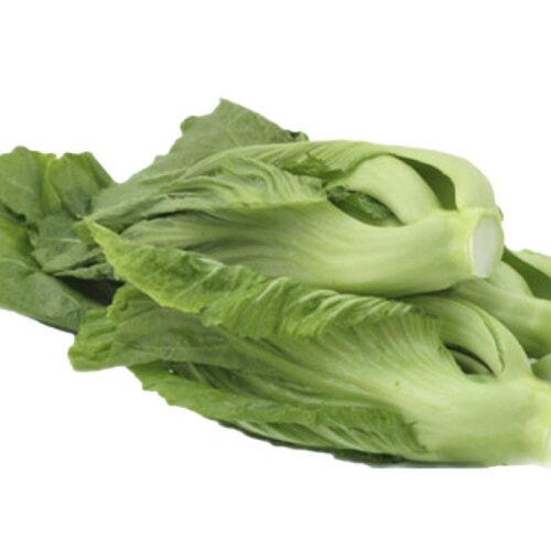Farm Fresh Mustard