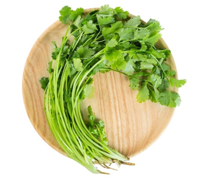 Fresh Coriander
