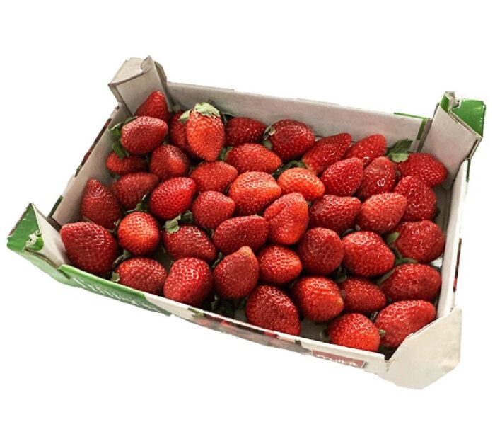Fresh Moroccan Strawberry
