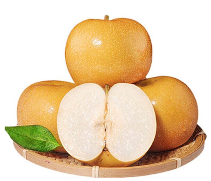 Fresh Pears Selected Shandong