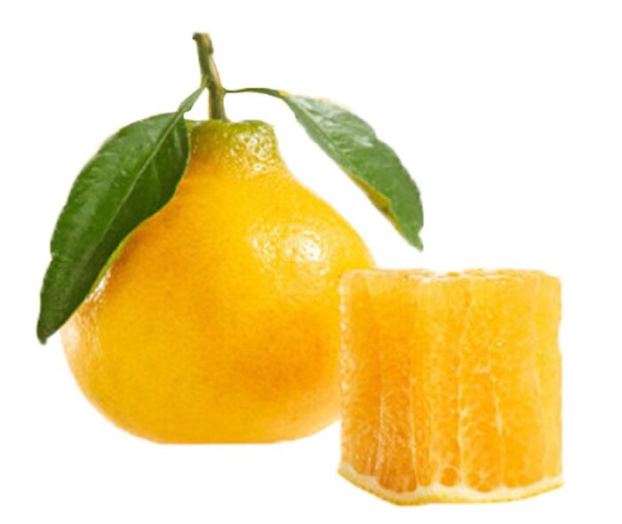 Jiangsu Sunshine Sweet Grape Fruit