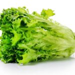 Farm Fresh Lollo Bionda