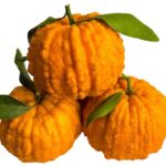 Sichuan Prosperity Pumpkin Orange