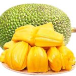 Thailand Peeled Jack Fruit