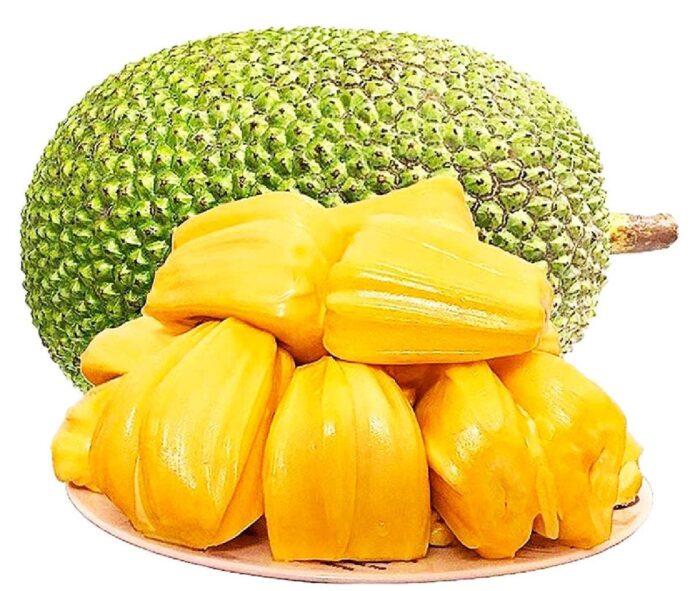Thailand Peeled Jack Fruit