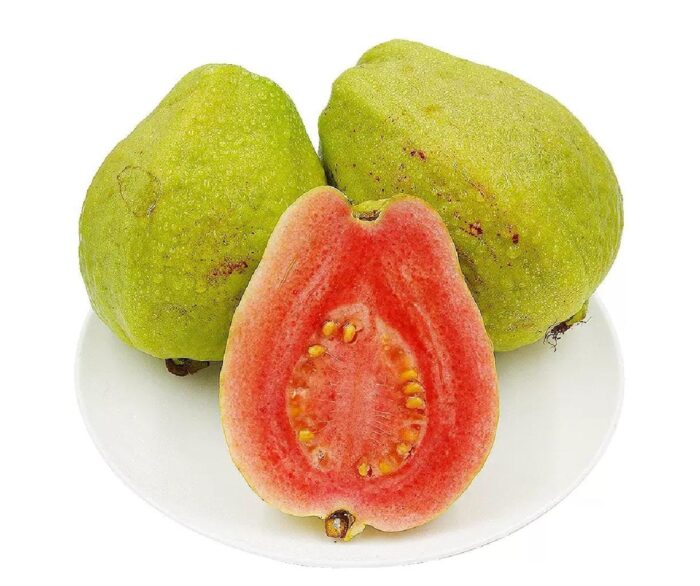 Thailand Red Guva