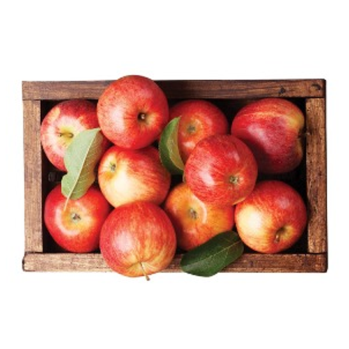 Baby Royal Gala Apples from New Zealand 1Kg