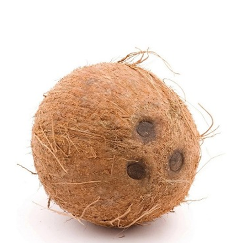 Coconut Whole India 1pc