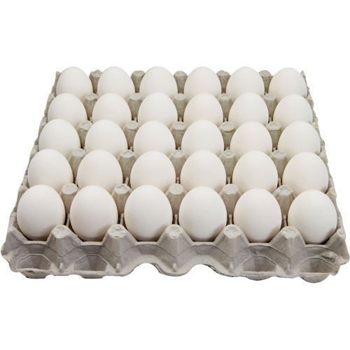 Egg Fresh White Medium 360pcs INDIA
