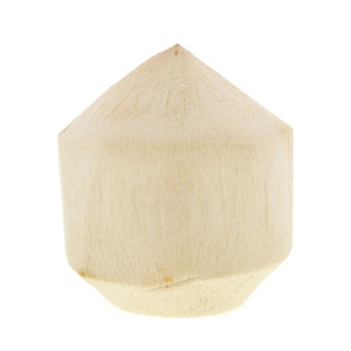 Tender Coconut Thailand 1pcs