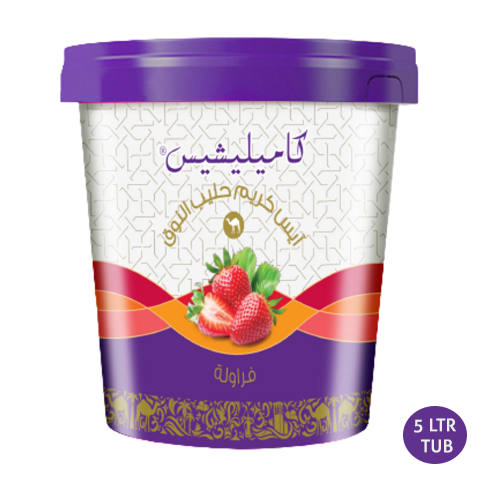 Camelicious Ice Cream Strawberry 5Ltr Tub